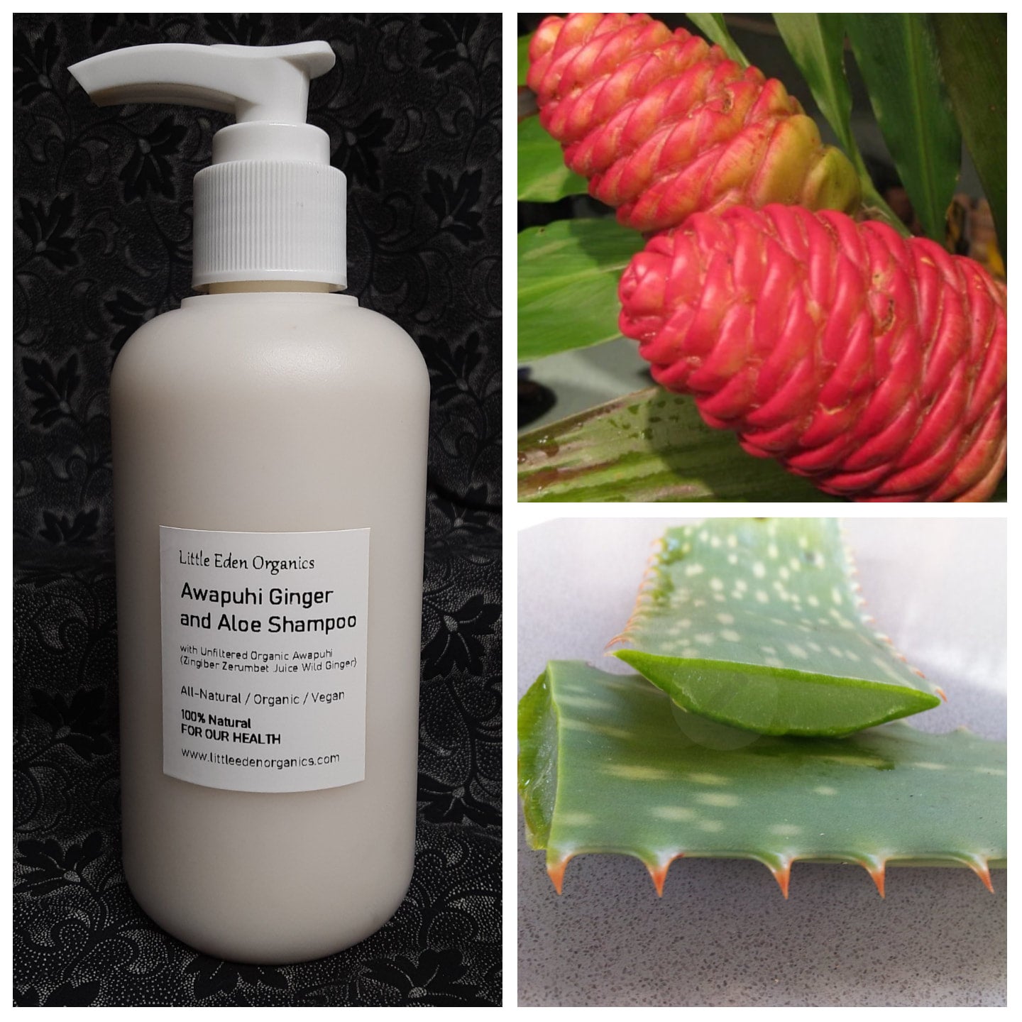 Repairing awapuhi Ginger selling organix